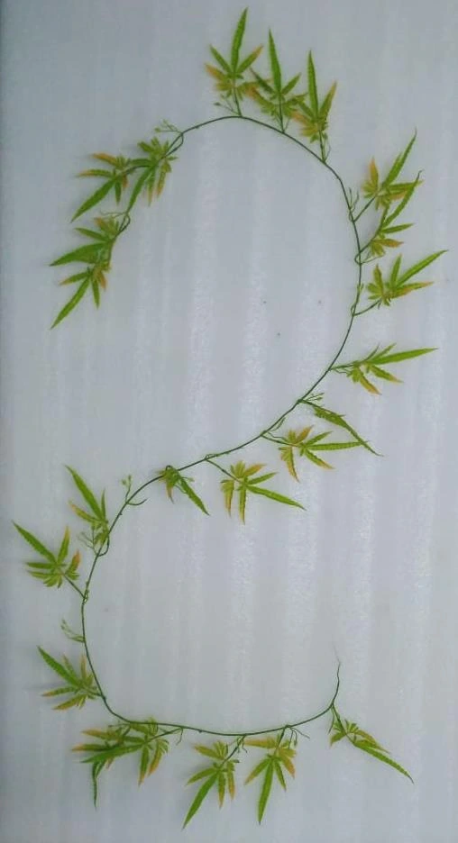 PU Bamboo Leaves Creeper x1 210cm